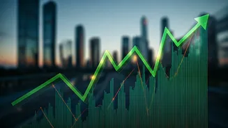 Indian Stocks: Growth Despite Volatility?