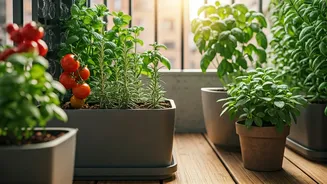 How To Build Productive Balcony Garden In Twenty Minutes Flat