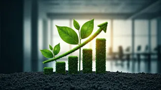 Secure Elite Eco Employment Through Sustainability Audit Credentials Now
