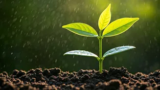 Hanuman Jayanti 2025: 50+ Heartfelt Wishes & Messages for Family & Friends