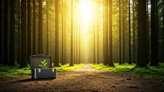 Millennials' Great Escape: Ditching the 9-to-5 for a Slower, Happier Life