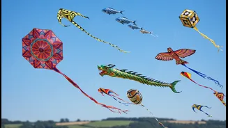 Tamil Nadu's International Kite Festival Is Easier To Understand Through International Kites, Performances And Family Activities