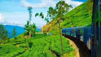 Why Scenic Monsoon Train Journeys Deliver Exceptional Views Without Expensive Vacation Package Costs