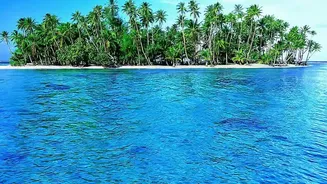Autumn Island Escape: Everything You Need To Know About Lakshadweep Permit Processing Times