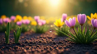 Embrace April 2026: Fresh Starts, Inspiring Quotes & Joyful Greetings