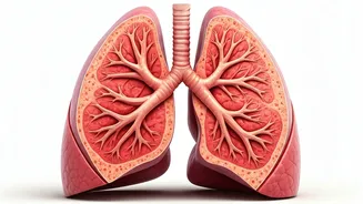 Strengthen Your Lungs With These Exercises.