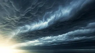 Related Stories banner