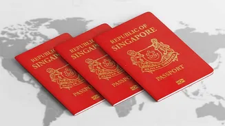 These are the world's most powerful passports for 2026