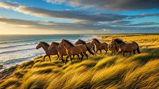 Witness Untamed Beauty: Top Destinations to See Horses Roaming Free