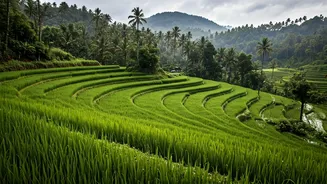 Kerala Monsoon Travel Guide: Best Views And Lowest Rates