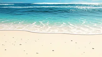 Dive into Summer: 16 Aquatic Fragrances Evoking Salty Breezes and Ocean Escapes
