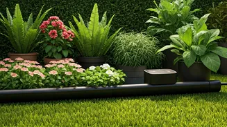 Frequent Travelers Save Home Gardens Using Automatic Plant Watering Systems