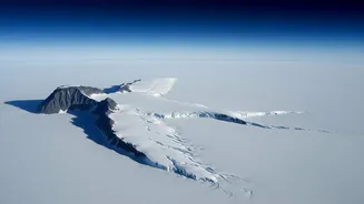 An East Antarctic Nunatak Anchors NISAR's Hummingbird-Like Radar Scene