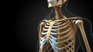 Strengthen Your Bones With These 5 Tips.