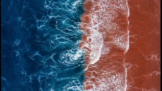 How Two Ocean Patterns Influence India's Weather Outlook