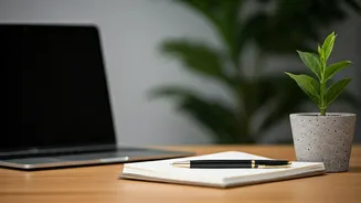 Freshers Need Internship Proof More Than Ever