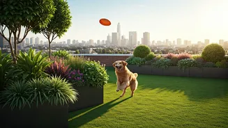 Why Rooftop Green Zones Reduce Pet Separation Anxiety Levels Significantly