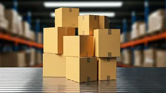 Shadowfax's IPO: A Deep Dive into the Logistics Platform's Market Entry