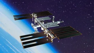 Next-Gen Commercial Space Station Modules: The Future Of Orbital Research Habitats