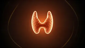 Yoga for Thyroid Health: Unveiling Evidence, Debunking Myths, and Setting Realistic Expectations