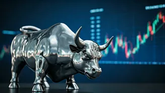 Nifty's 2026 Outlook: Bull Run Ahead?