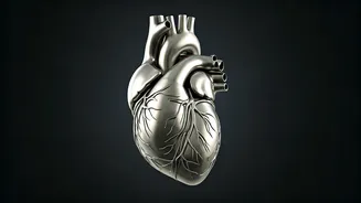 Decoding Health: A Quick Overview