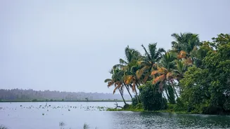 Orange Alert Issued for Six Kerala Districts Amid Heavy Rain and Strong Winds