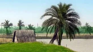 August In India: Where Green Landscapes Meet Less Rain