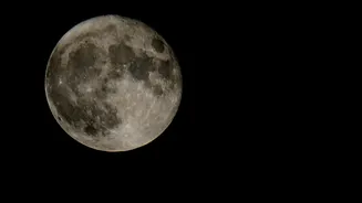 Full Moon November 2025: Best Time And Place To See Beaver Moon; Check Timings For NY, LA, London