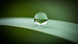 Related Stories banner