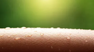 Ditch Glass Skin, Skin Longevity Is Trending This Monsoon