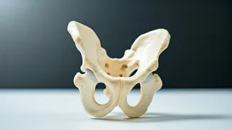 Understanding DDH: Early Detection and Treatment for Hip Development in Infants