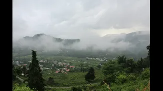 Understanding India's Seasons: A Travel Guide