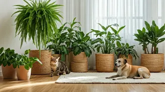 Indoor Plant Wellness Now Includes Pet Health Too