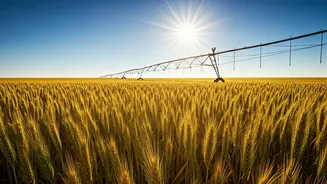 India's Agri Subsidies: A Path to Reform