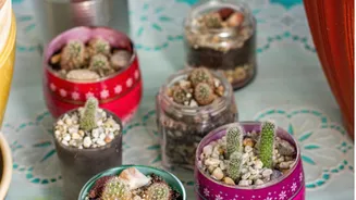Turn recycled items into stylish kitchen decor