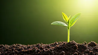 Gemini's Daily Forecast: Embrace Organic Growth Over Overthinking