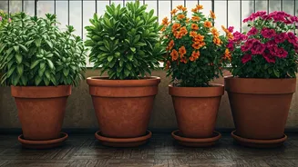 Pretty Balcony Pots Need Practical Rain Planning