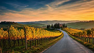 Tuscany's Timeless Allure: A Seasonal Guide