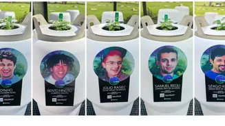 Mamonas assassinas: sementes plantadas com cinzas da banda já viraram mudas