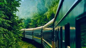 How To Enjoy Lush Mist Covered Mountain Scenery From Window Seats On Trains