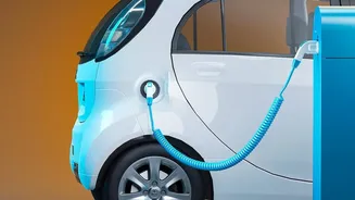 How Ag Waste Derived Plant Electrolytes Shield EV Batteries From Catching Fire