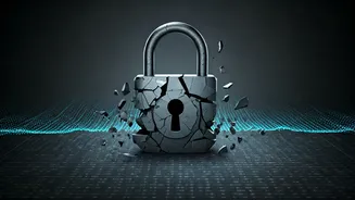 WhatsApp's Privacy Under Fire: Lawsuit & Musk's Take