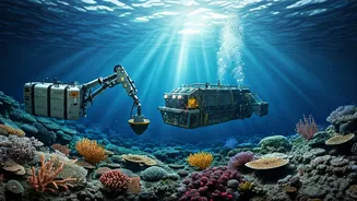Deep-Sea Mining: Risks to Marine Life Explored