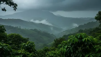 Weekend Travellers Advised To Check IMD Forecast Before Heading Across Western India