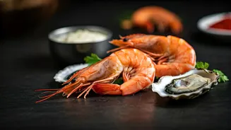 A Taste of India's Shores: President Murmu's Gala Banquet for Seychelles President