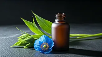 ITI by Good Earth: Unveiling Himalayan Botanicals and Rituals of Skin Care