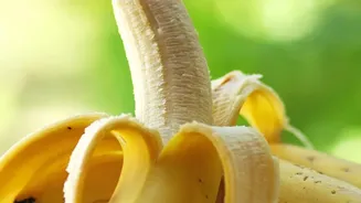 Banana Ripeness And Nutrition — The Link Between Ripening And Carbohydrates