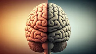 Unveiling the Power of Emotional Intelligence