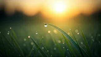 4 Hindu Meditation Secrets for Inner Peace: Master Your Mind